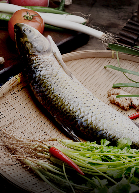 口味魚(yú)系列